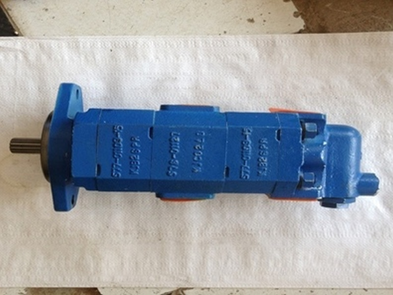 pDuplex Pump