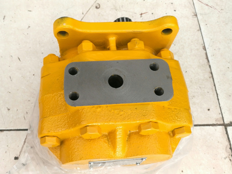 SD22D07436-72202Pump